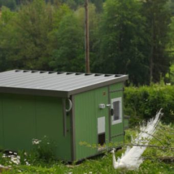 Heinicoop Huehnerstall