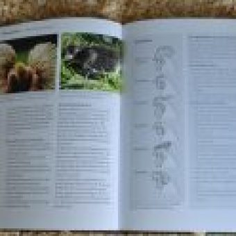 Buch-Huehnerhaltung