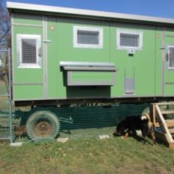 Huehnerstall mobil